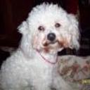 Lola