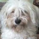 Sacha