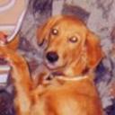 Duke