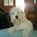 Bonny