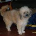 Kilye