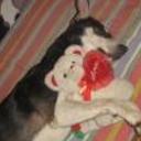 Manchas