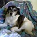 Manchi