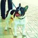 Athos
