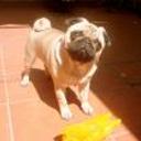 Charly