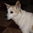 Blanca