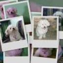 Jheidy