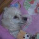 Sussy