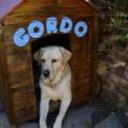 Gordo