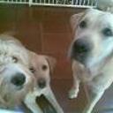 Momo. linda, scott