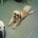 Loly
