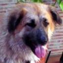 Danna