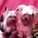 Regaliz y layla