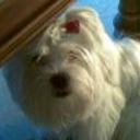 Lola