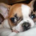 Lola