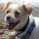 Toby 
