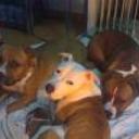 Deisy, roco y taison