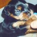 Facu