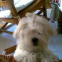 Lola