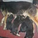 Marita e hijos