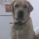 Tiberio
