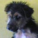  nena