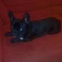 Lucas