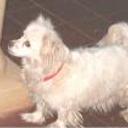 Kika