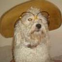 Blanquita