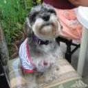 Susy