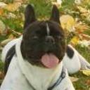 Bruce