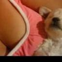 Picki