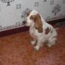 Walther