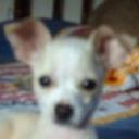 Maggy