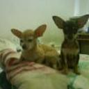 Suri y bruno