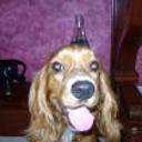 Molly