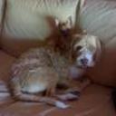 Micho y kilo