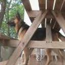 Rocky y soffy