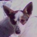 Blanquita