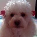 Sussy