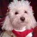 Susy