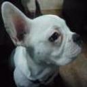 Lalo