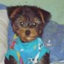 Facu