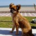 Peque