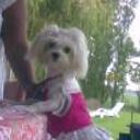 Bijou