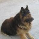 Yako