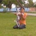 Manchas