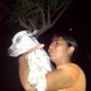 Manchas