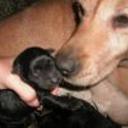 Eddy