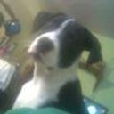 Ruso